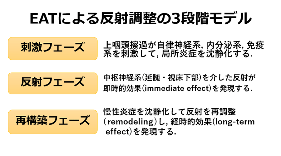 EAT反射調節モデル図